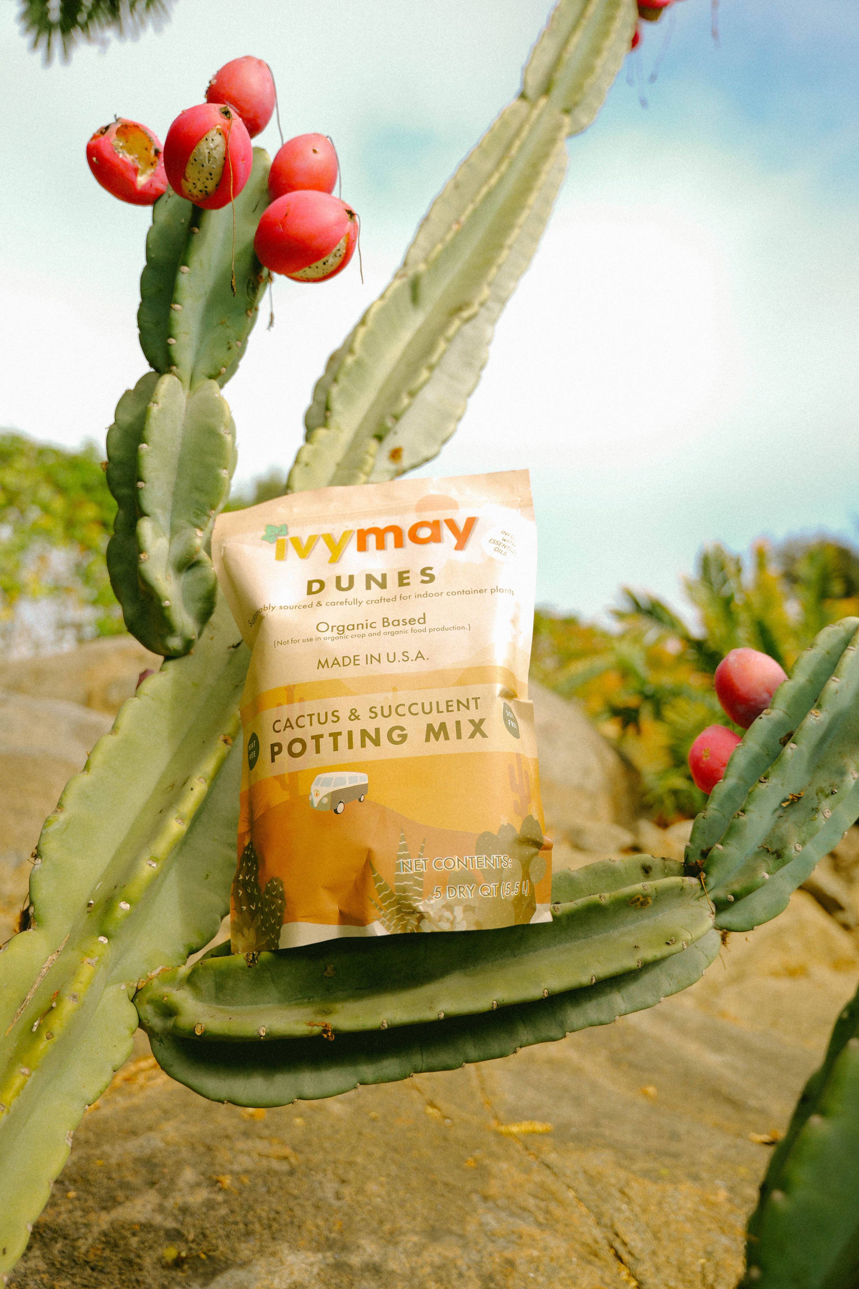 Organic Cactus & Succulent Potting Soil Mix (5QT)