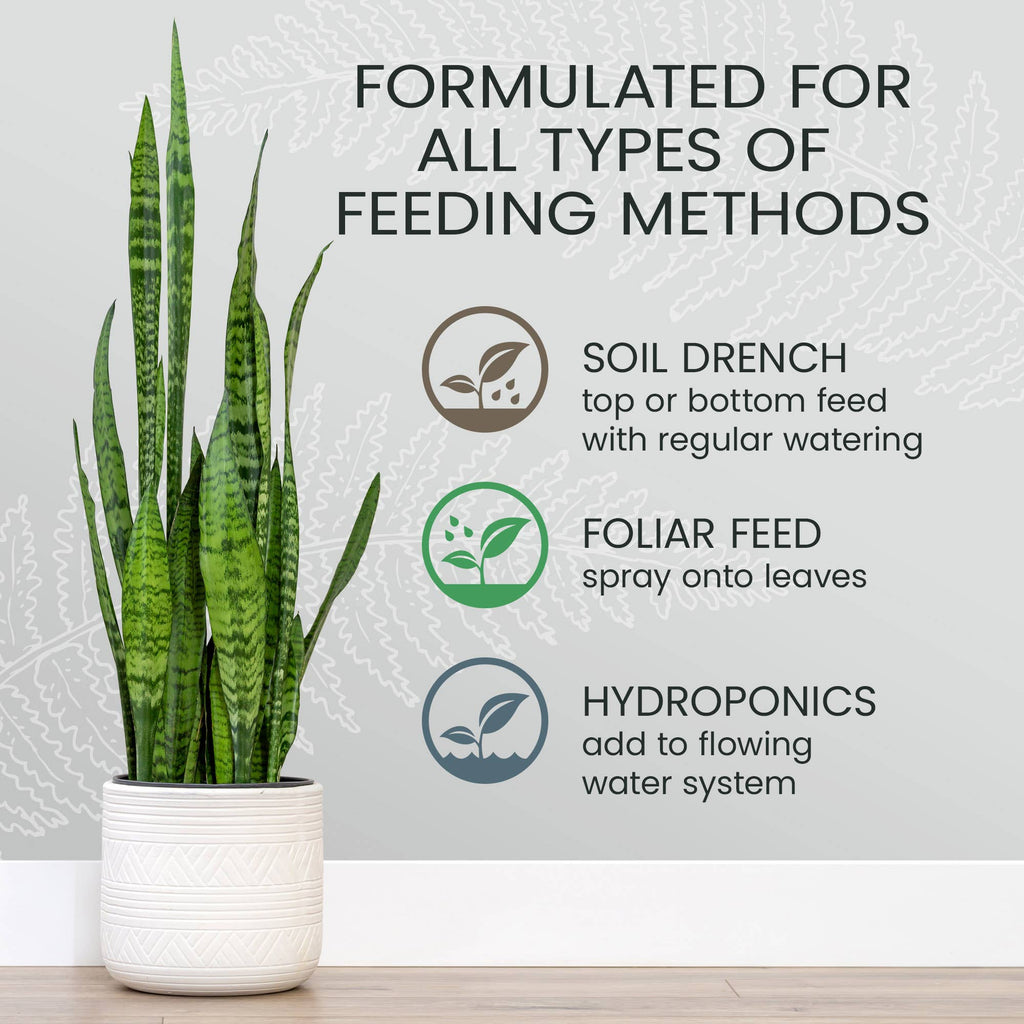 Purived Houseplant Food – 16fl oz of Concentrated Fertilizer