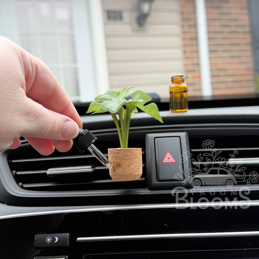 Monstera Vent Clip Car Air Freshener Diffuser (Reusable): Fruity & Foodie Random Bestseller