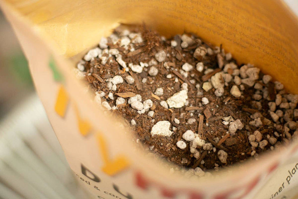Bulk Soil- Premium Cactus & Succulent Potting Mix: 5 Gallons