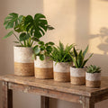 Jute Hogla Basket Planter Potcover