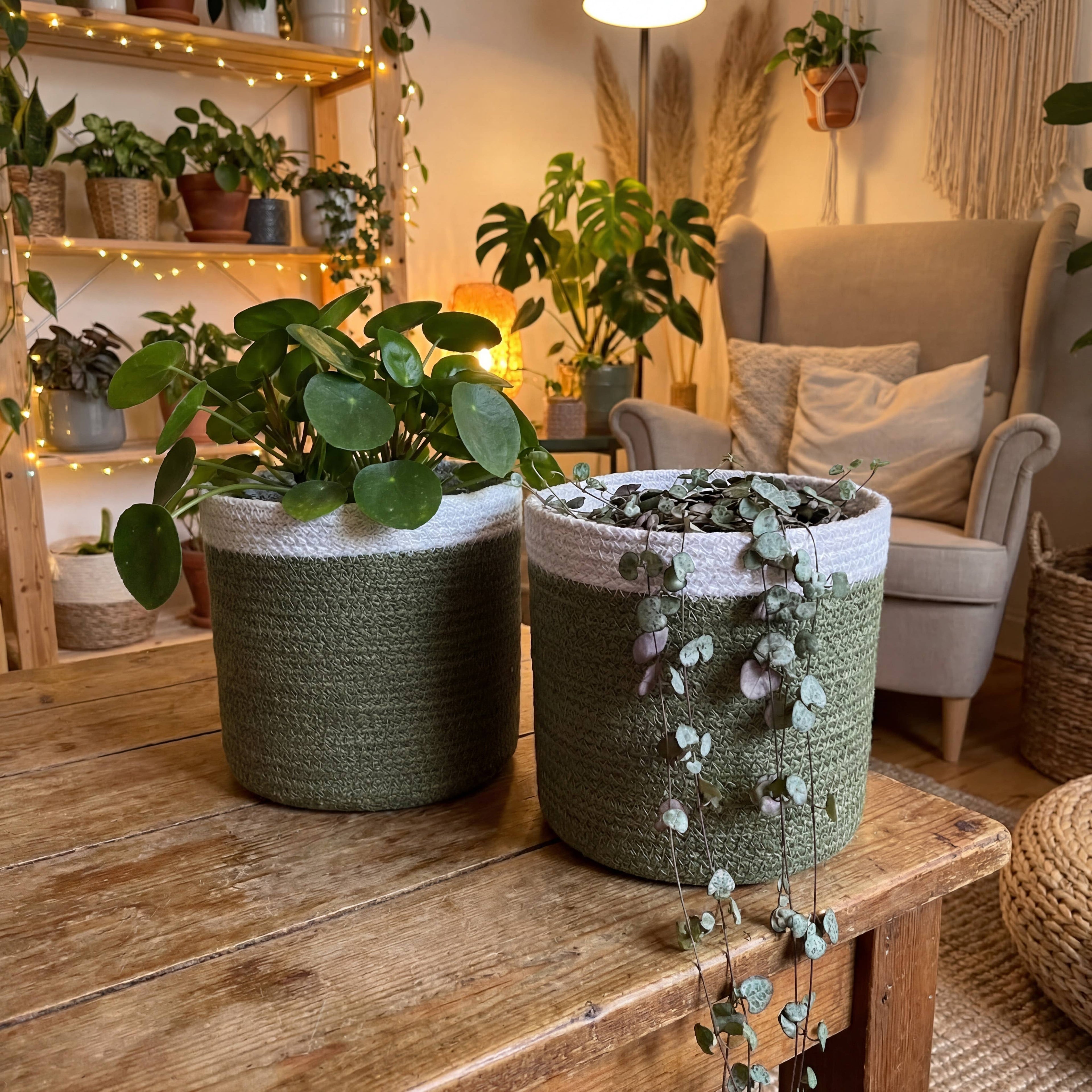 Olive Green Braid Jute Planter(set/5) (8",7",6",5",4")Basket
