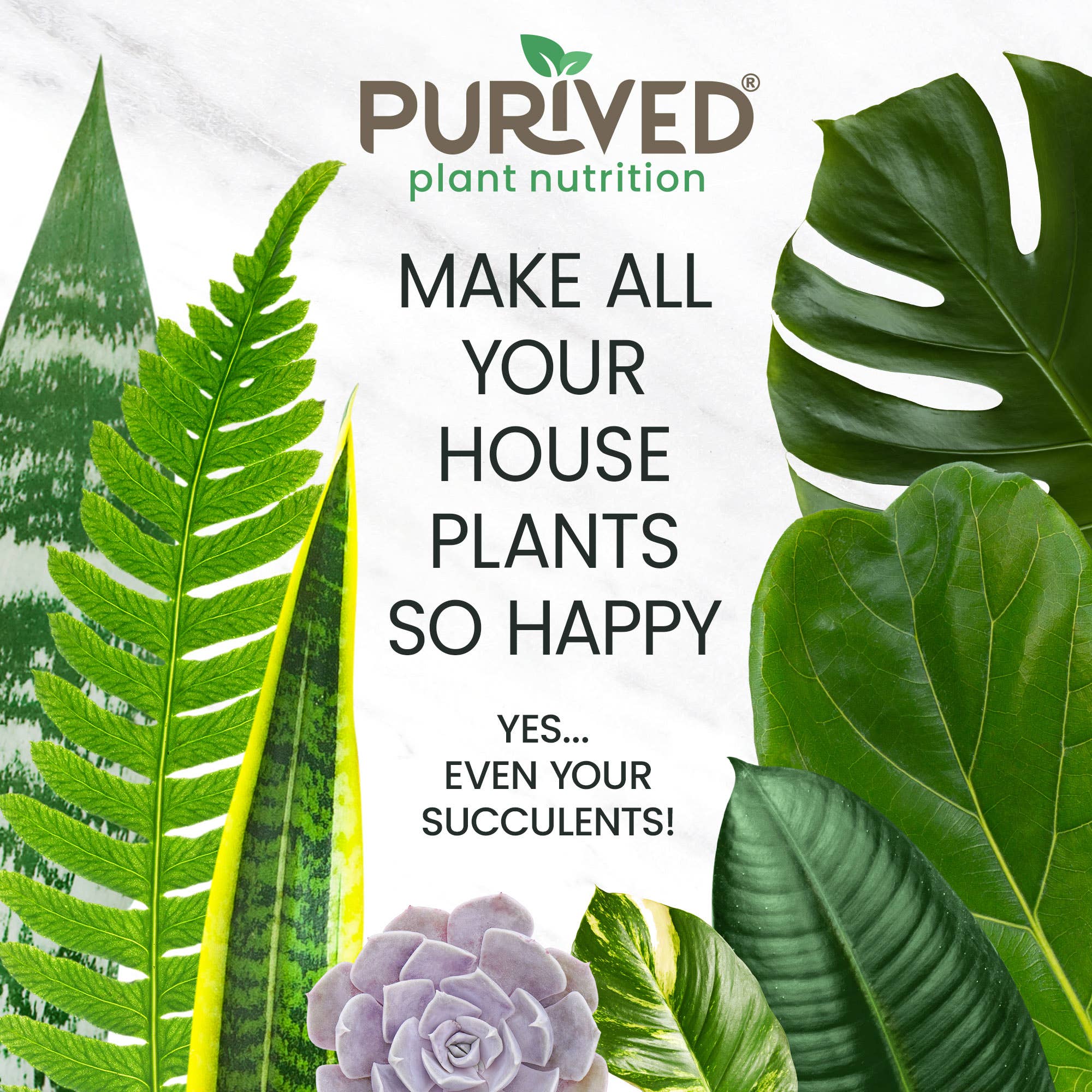 Purived Houseplant Food – 16fl oz of Concentrated Fertilizer