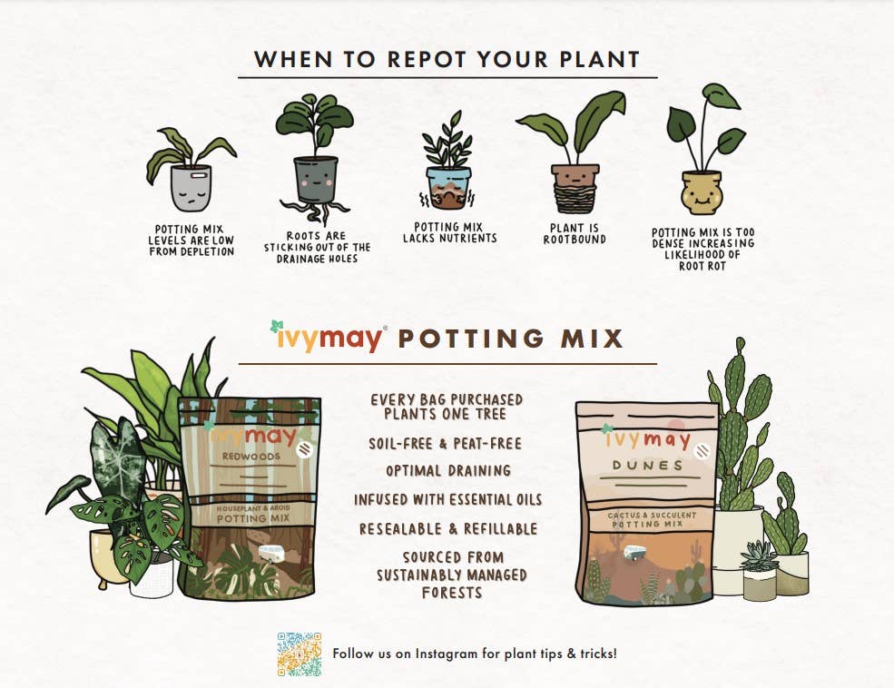 Organic Cactus & Succulent Potting Soil Mix (5QT)