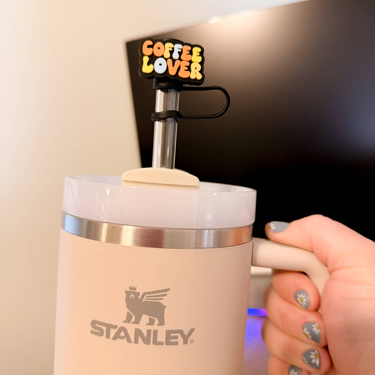 Straw Topper 3 pack - Trendy Iced Coffee Lover Theme