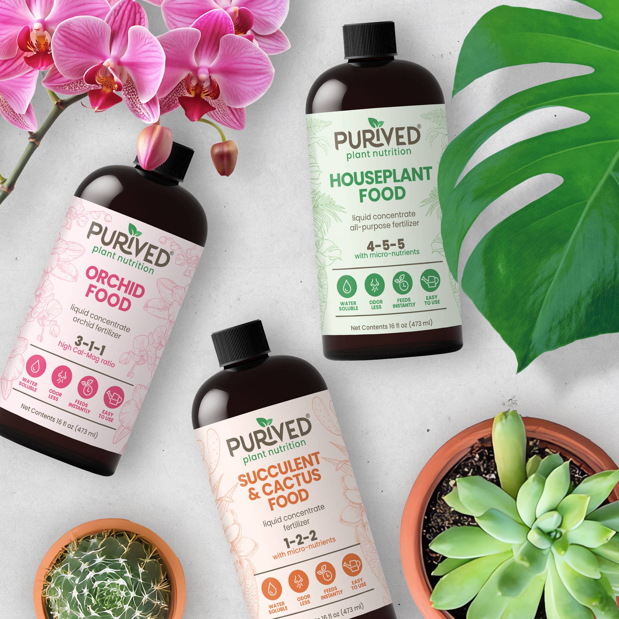 Purived Houseplant, Orchid & Succulent Food Variety Pack