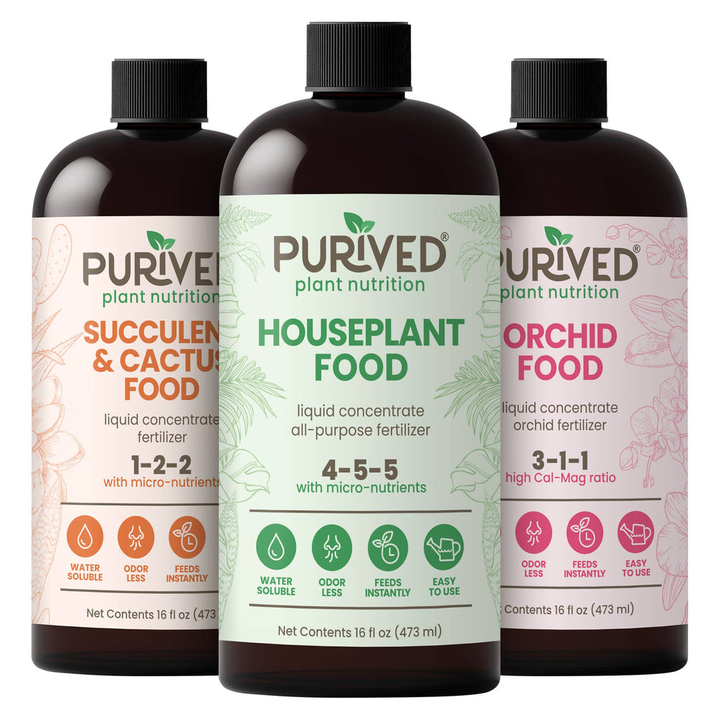 Purived Houseplant, Orchid & Succulent Food Variety Pack