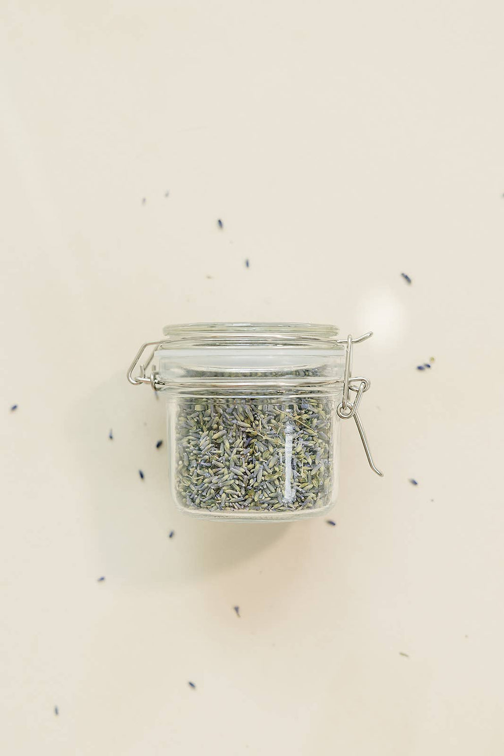 Culinary Lavender