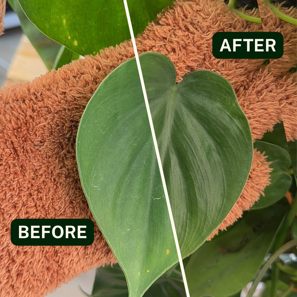 Microfiber Plant Dusting Gloves | Terracotta: Terracotta