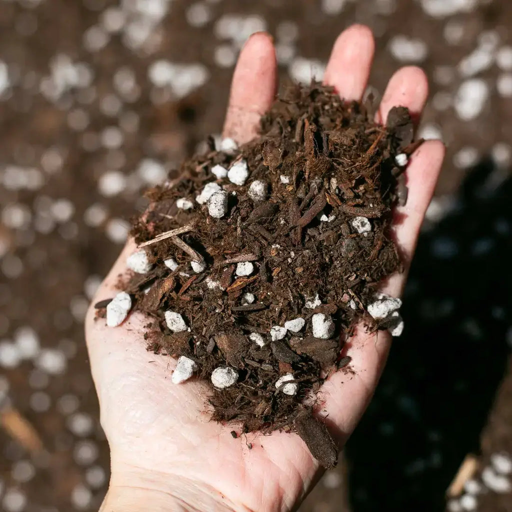 Premium Houseplant Potting Soil Mix - 1/4 order (4 QT) : 4 Qt