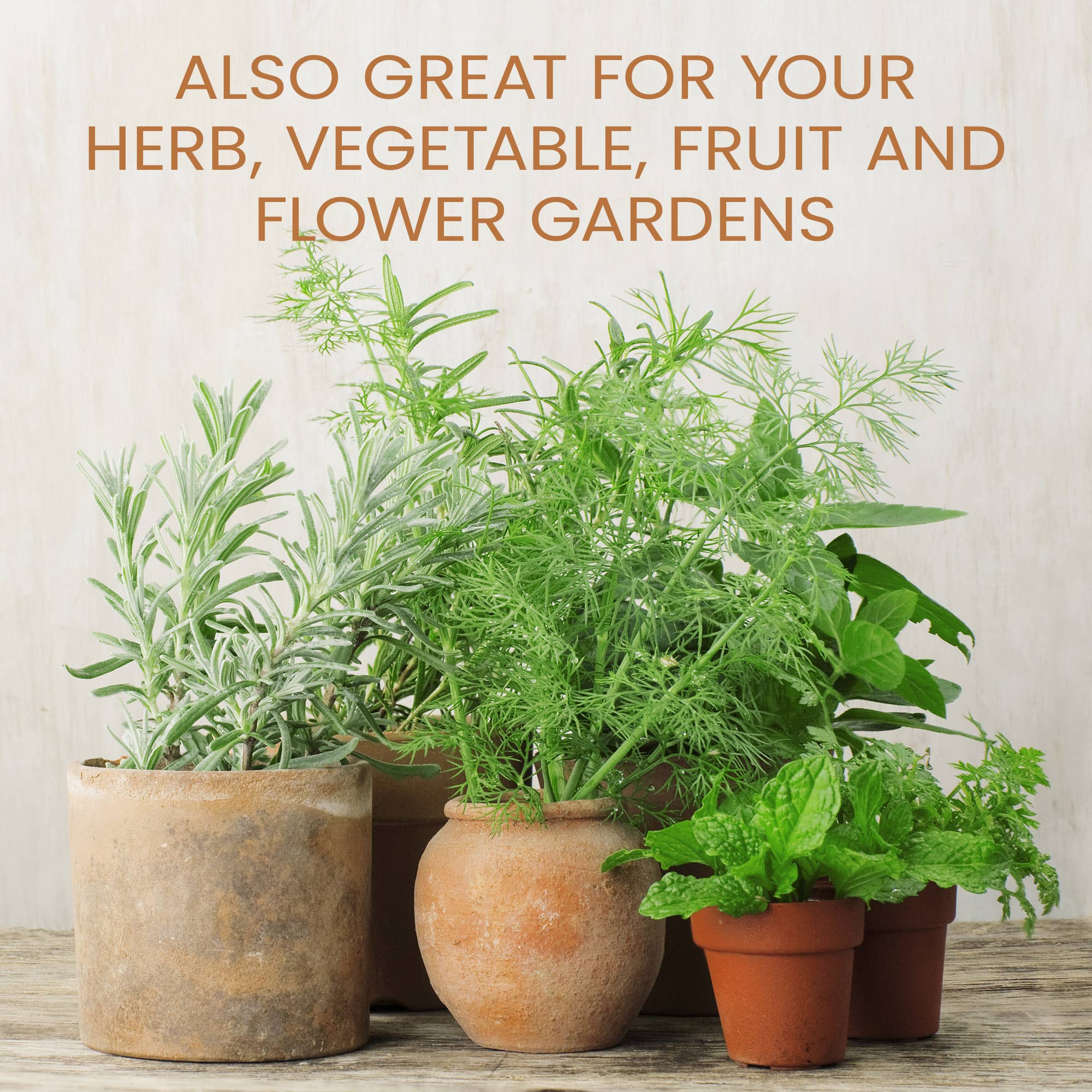 Purived Houseplant Food – 16fl oz of Concentrated Fertilizer