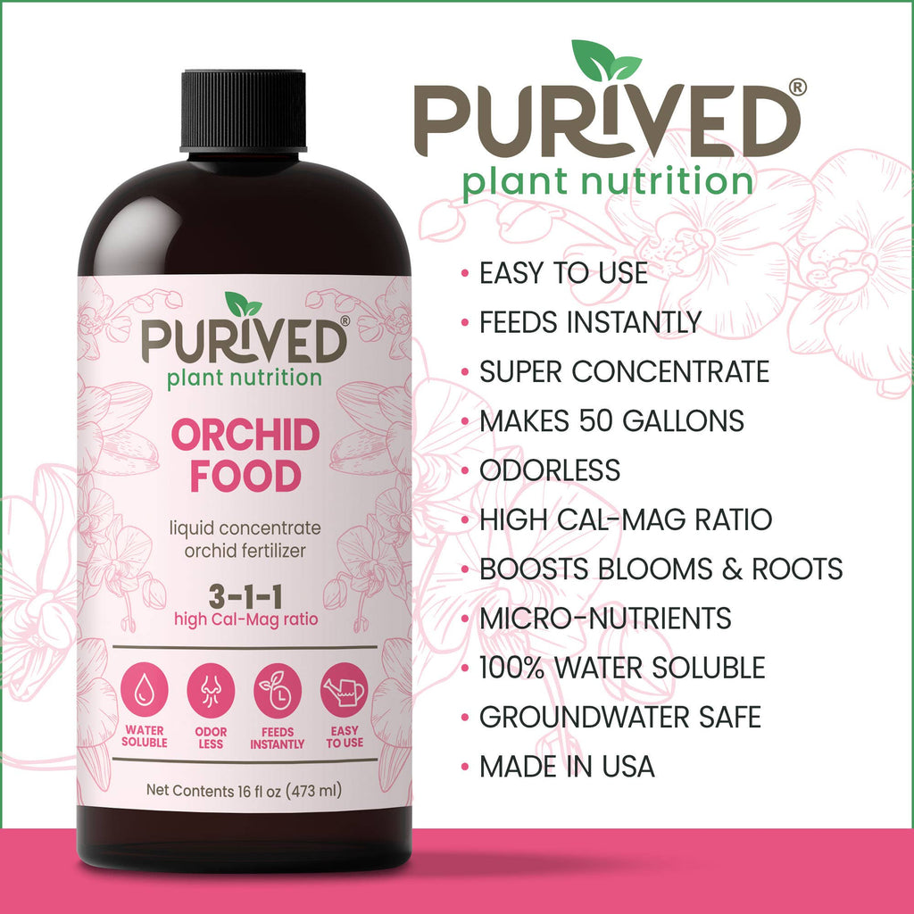 Purived Houseplant, Orchid & Succulent Food Variety Pack