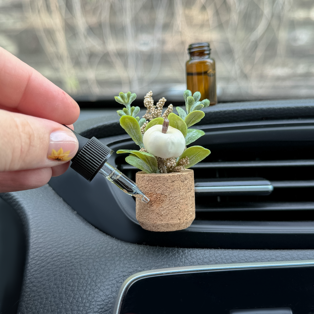 White Pumpkin Plant Vent Clip Car Air Freshener Reusable: Fall Fragrance - Random Bestseller