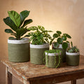 Olive Green Braid Jute Planter(set/5) (8",7",6",5",4")Basket