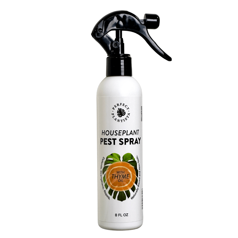 Natural + Non-Toxic Houseplant Pest Spray: 8oz