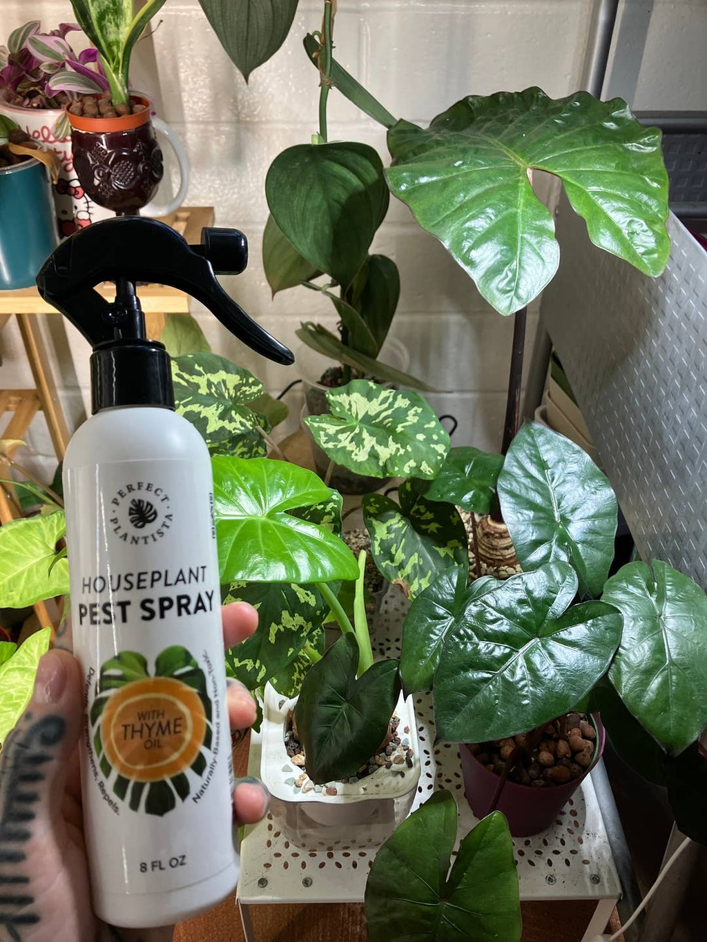Natural + Non-Toxic Houseplant Pest Spray: 16oz