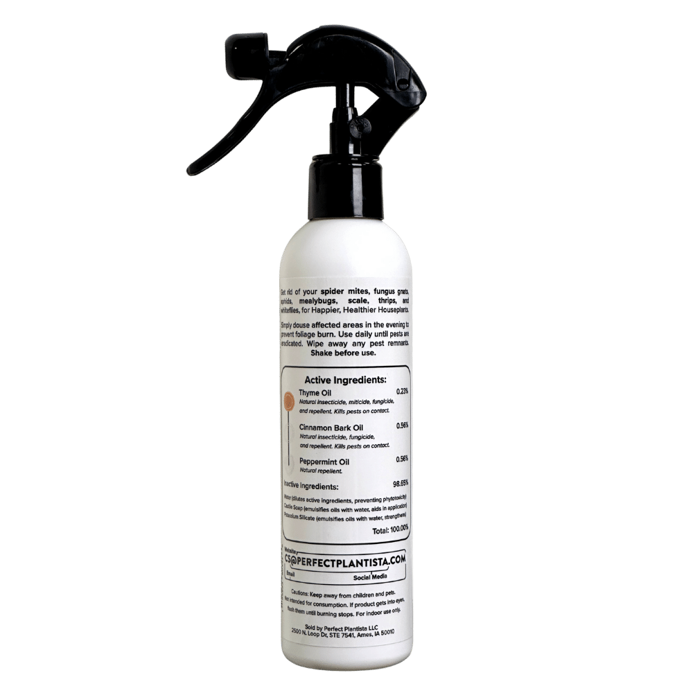 Natural + Non-Toxic Houseplant Pest Spray: 8oz