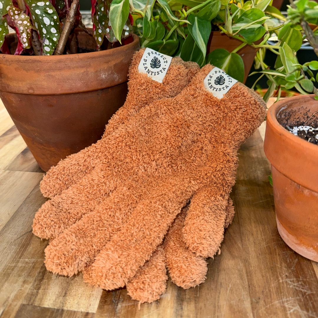 Microfiber Plant Dusting Gloves | Terracotta: Terracotta