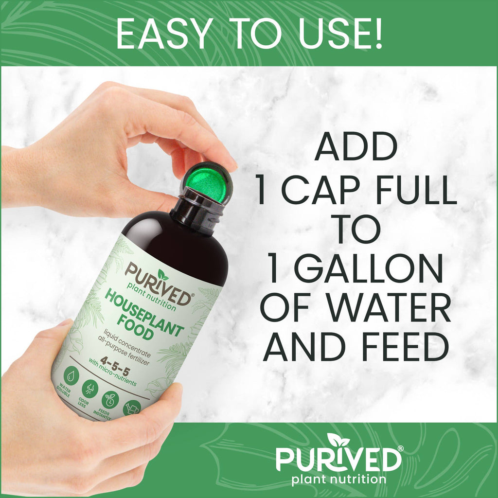 Purived Houseplant, Orchid & Succulent Food Variety Pack