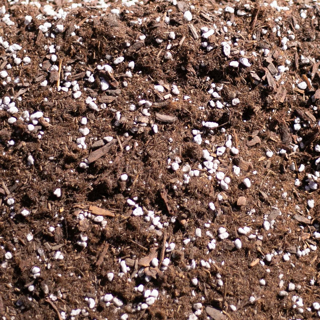 Bulk Soil- Premium Houseplant & Aroid Potting Mix : 25 Gallons
