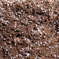 Bulk Soil- Premium Houseplant & Aroid Potting Mix : 25 Gallons