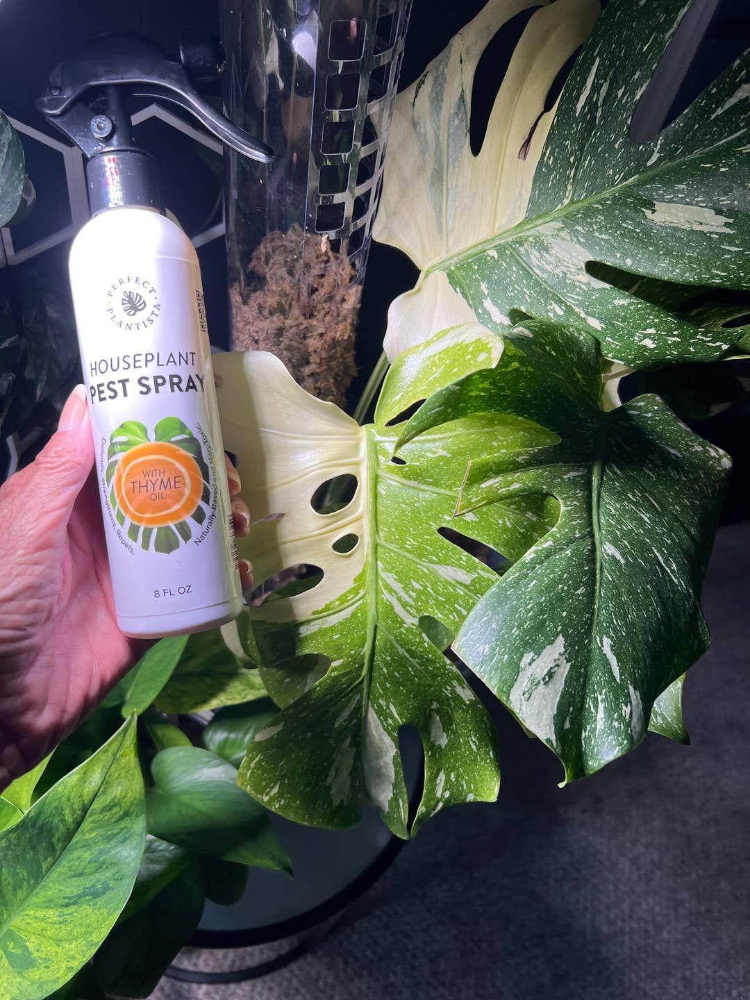 Natural + Non-Toxic Houseplant Pest Spray: 16oz