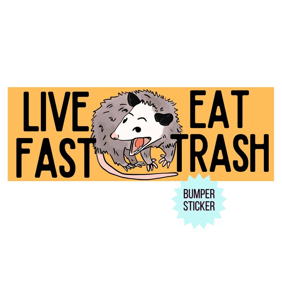 Live Fast Eat Trash Possum Bumper Sticker