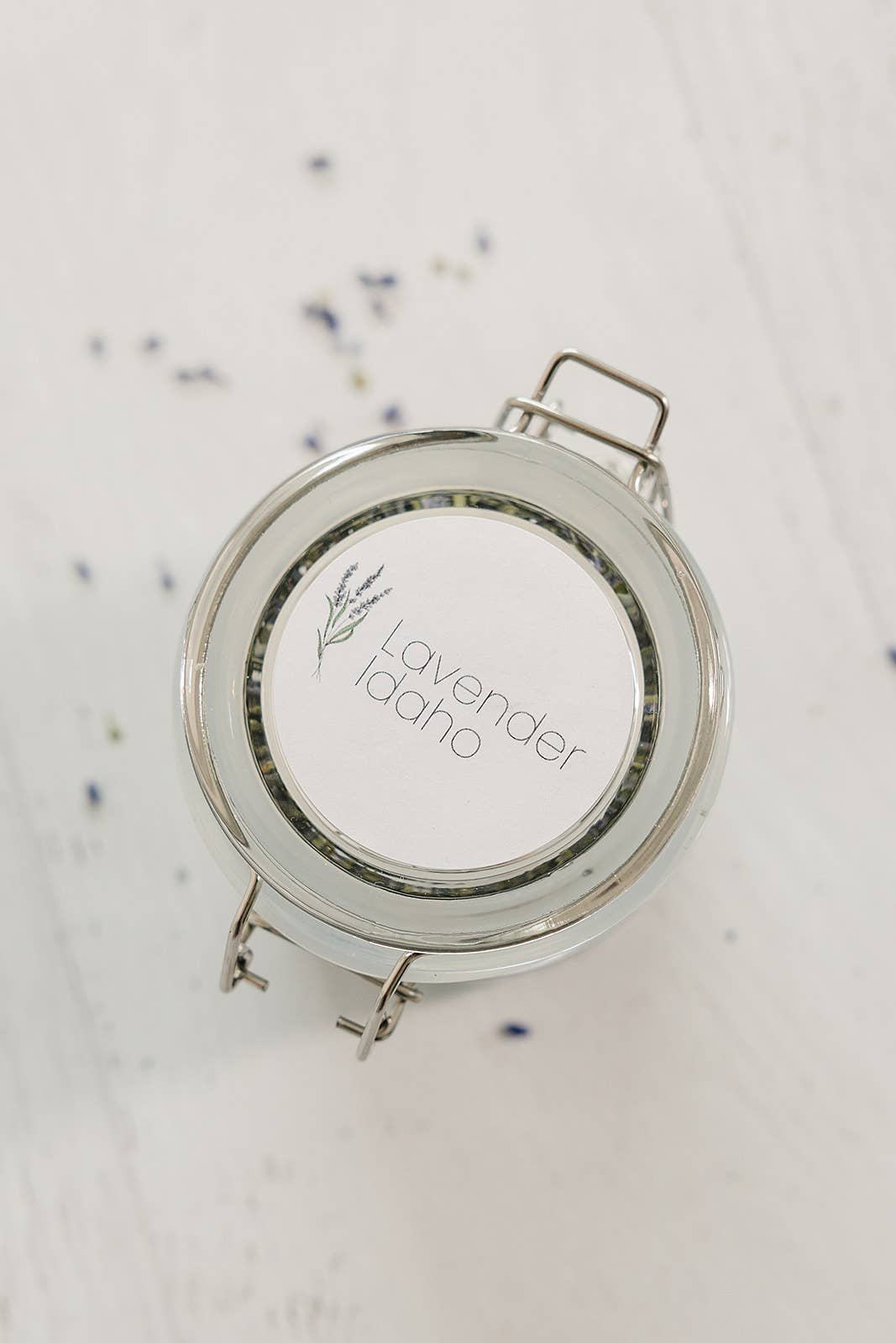 Culinary Lavender