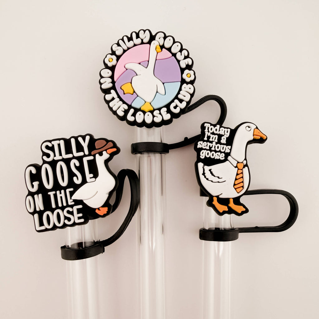 Straw Topper 3 pack - Silly & Serious Goose Theme