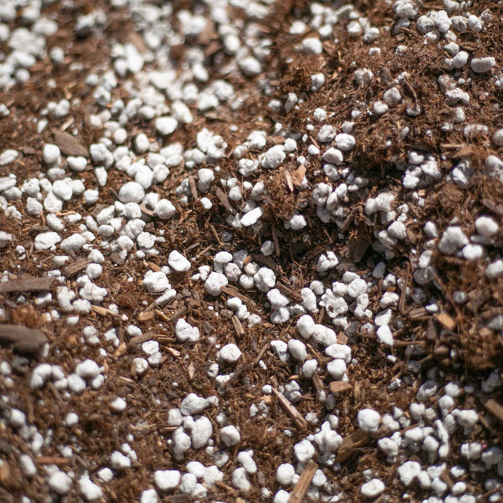Bulk Soil- Premium Cactus & Succulent Potting Mix: 5 Gallons