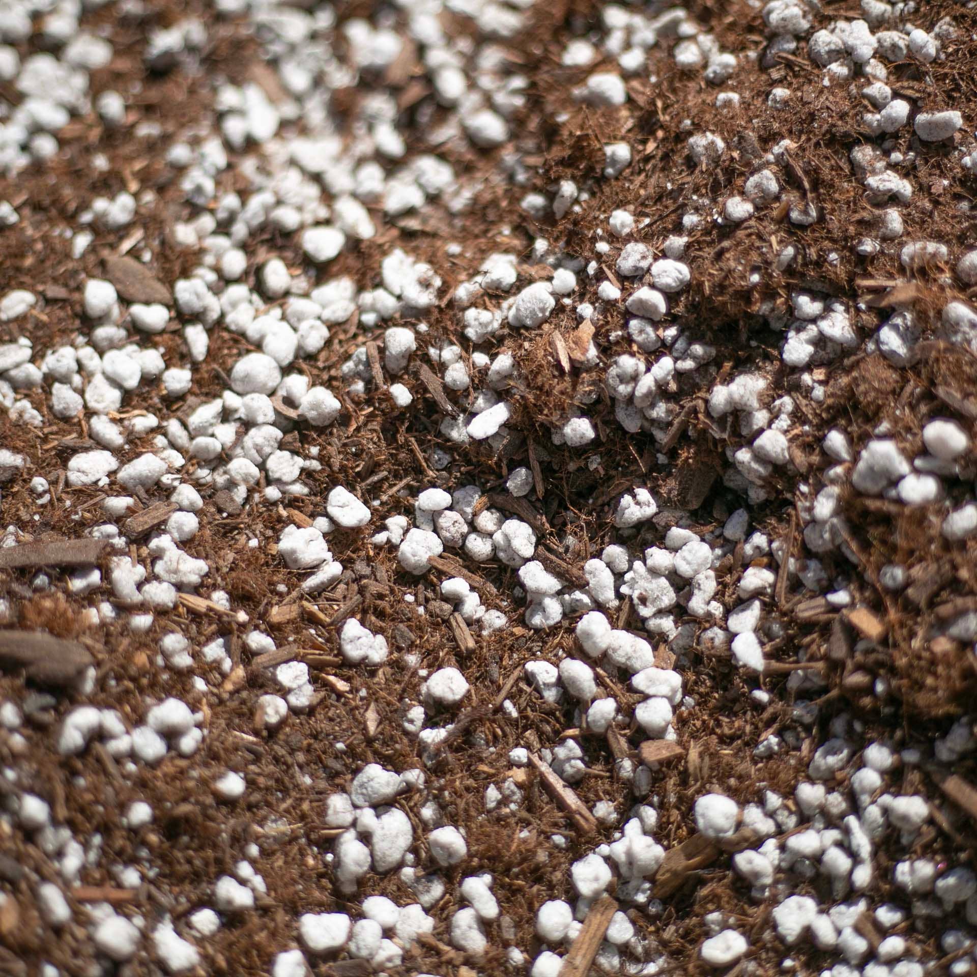 Bulk Soil- Premium Cactus & Succulent Potting Mix: 5 Gallons